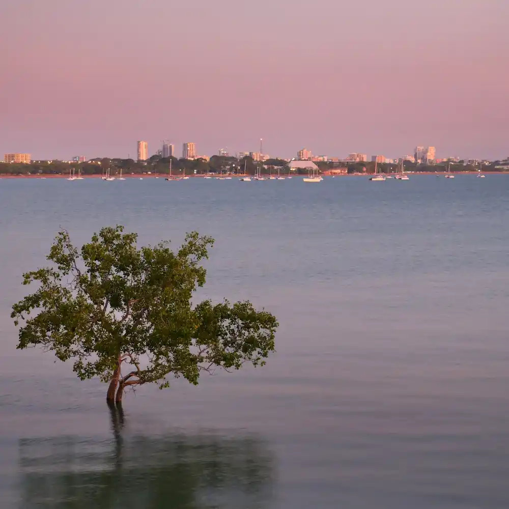 Civil engineering survey plan by Territory Surveys, showcasing detailed site layout and infrastructure elements.